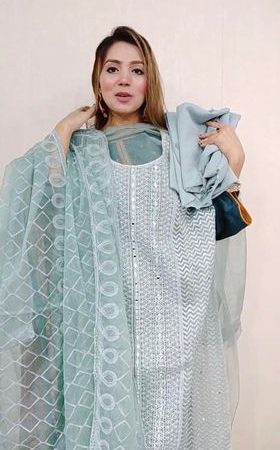 Delhi Boutique Luxury Organza ( Mint Mirror )