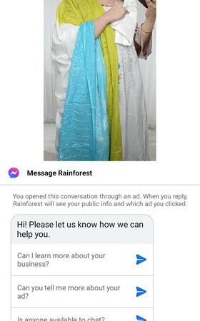 ( TX ) Delhi Boutique ( Olive n Sky Blue ) Dupatta